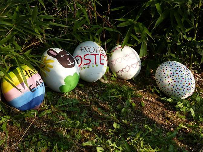 Ostern steht vor der Tür und in den Geschäften sind Eier - speziell die mit weißer Schale, die man gut färben kann - gefragt wie nie. Foto: Franziska Waked.