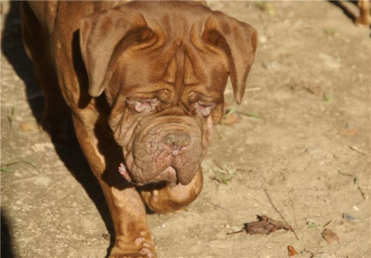 Otto ist der aktuellste Neuzugang auf dem Hof.Privat