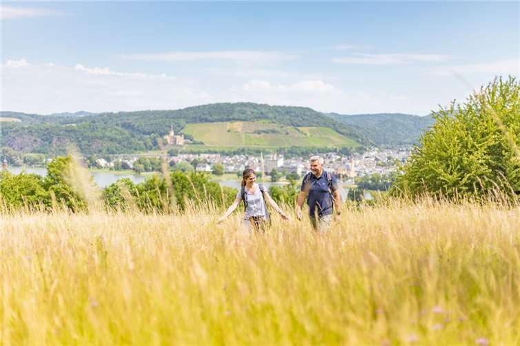 Panorama-Blick auf das Mittelrheintal.Fotos: Tourist-Info Bad Breisig