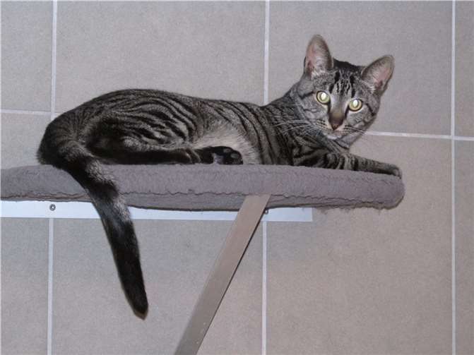 Paper.  Fotos: privat