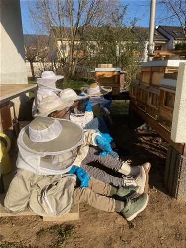 Passend ausgestattet beobachteten die Kinder der Bienen-AG gefahrlos das wuselige Treiben im „Bienenfernsehen“.  Foto: Jens Weyerhäuser / Schillerschule Lahnstein