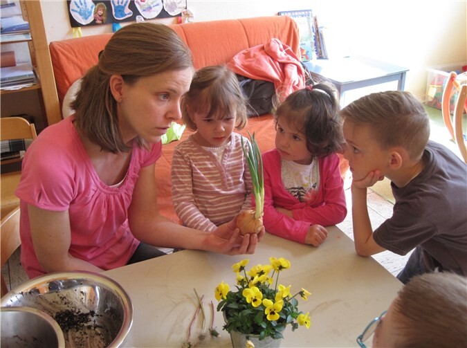 Passend zum Frühling lernten die Kinder etwas über Blumenzwiebeln..Privat