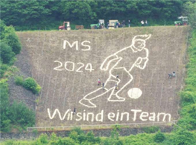 Passend zur anstehenden Fußballeuropameisterschaft in Deutschland stellt das neue Streubild einen Fußballer dar. Foto: TE