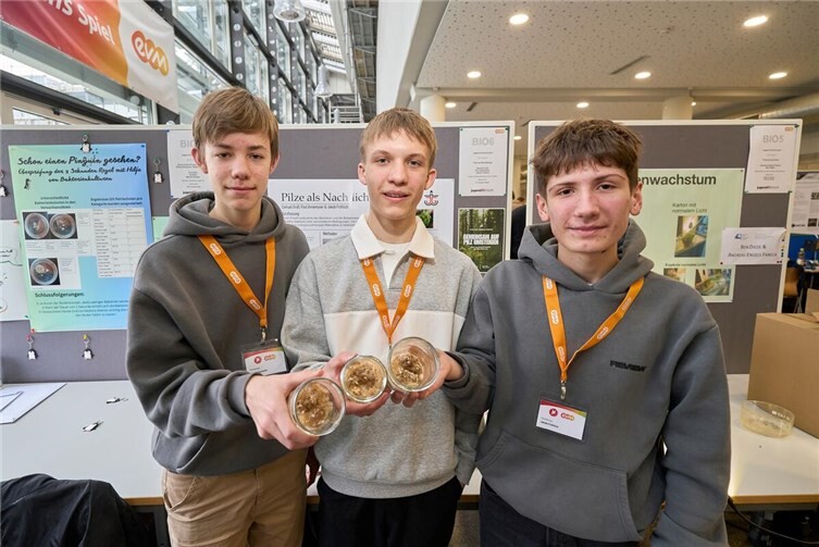 Paul Annemaier, Samuel Groß und Jakob Fröhlich (von links) beschäftigten sich mit Pilzen als Nachtlampe.