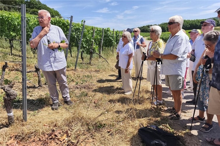 Paul Gieler (links) vermittelte viel Wissenswertes zum Weinbau.