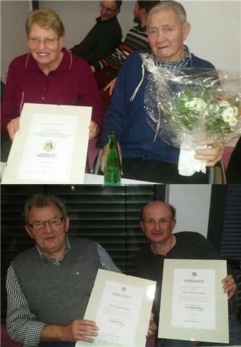 Paul Schneider sowie Gerhard und Thorsten Nies wurden für ihre langjährigen Verdienste in der Imkerei ausgezeichnet. Foto: privat