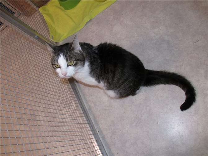 Pepe zeigt deutlich, was er möchte und was nicht.