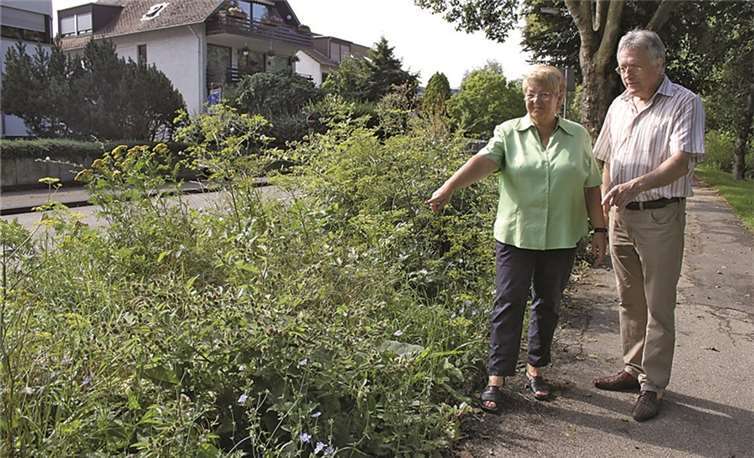 Peter Balmes und Anne Schumann-Dreyer beim Ortstermin. privat