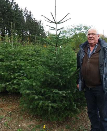 Peter Bauer bei der Arbeit im Wald. Foto: privat
