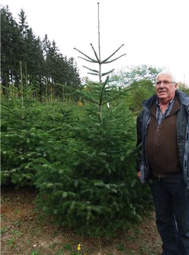Peter Bauer bei der Arbeit im Wald. privat