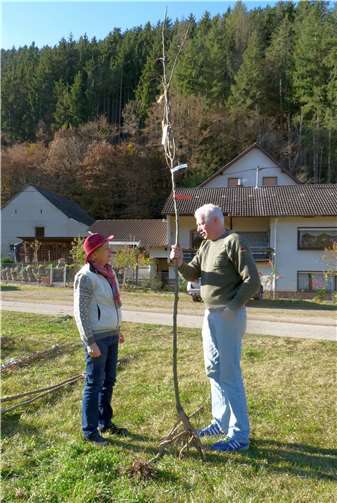 Peter Langelage aus Sinzig freut sich mit Claudia Schmitz über seinen Flut-Birnbaum. Foto: privat