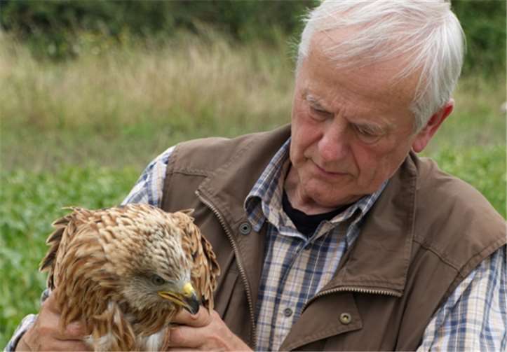 Peter Meyer vom NABU Bonn entlässt den Rotmilan wieder in die Freiheit. Fotos: privat
