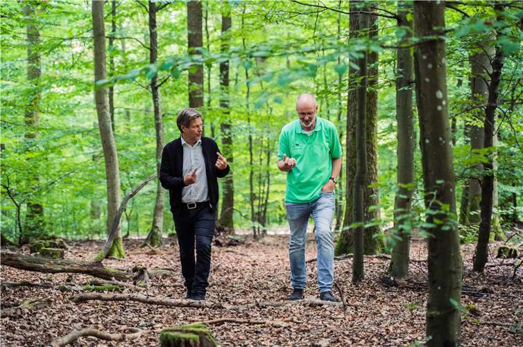 Peter Wohlleben (re.) und Grünen-Parteichef Robert Habeck bei ihrem Besuch im Gemeindewald von Wershofen.Foto: Elias Keilhauer