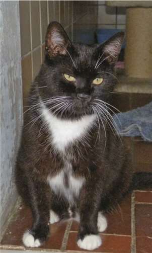 Peterchen ist ein feiner Kerl. privat