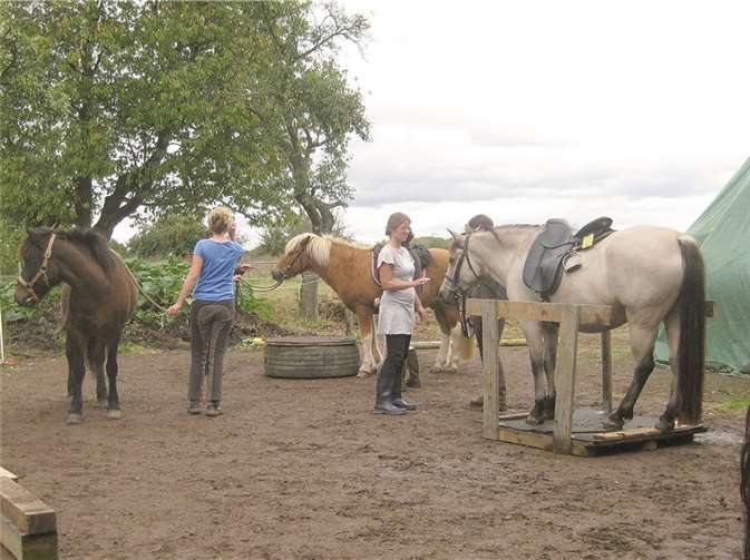 Pferd und Reiter verlebten ein schönes gemeinsames Wochenende in Villiprott.privat