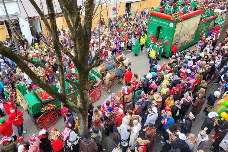 Pferde im Kölner Rosenmontagszug ziehen eine Kutsche entlang der von Menschen gesäumte Zugstrecke.Fotos: Deutscher Tierschutzbund e.V. 