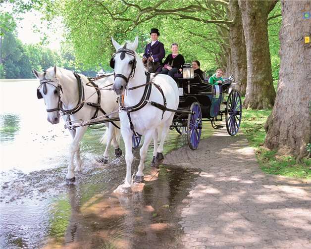Pferde und Kutsche mussten durchs Hochwasser fahren.