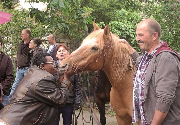 Pferdebesitzer kamen mit ihren schönen Tieren aus nah und fern.