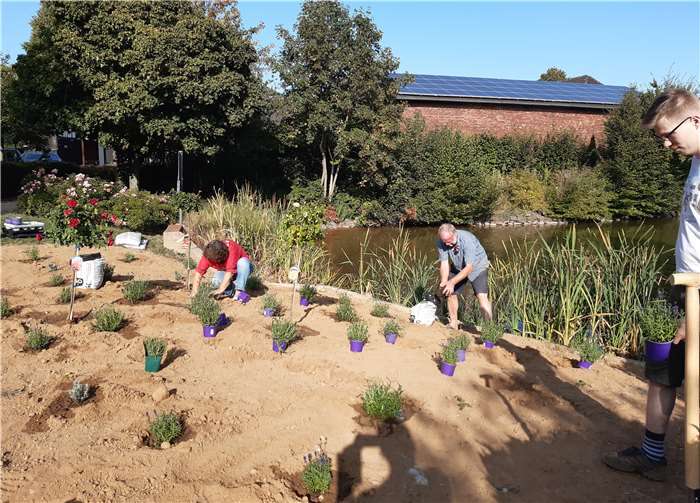 „Pflanzaktion“: Ruth Micklisch, Frank Wendorf, Nico Heyart.