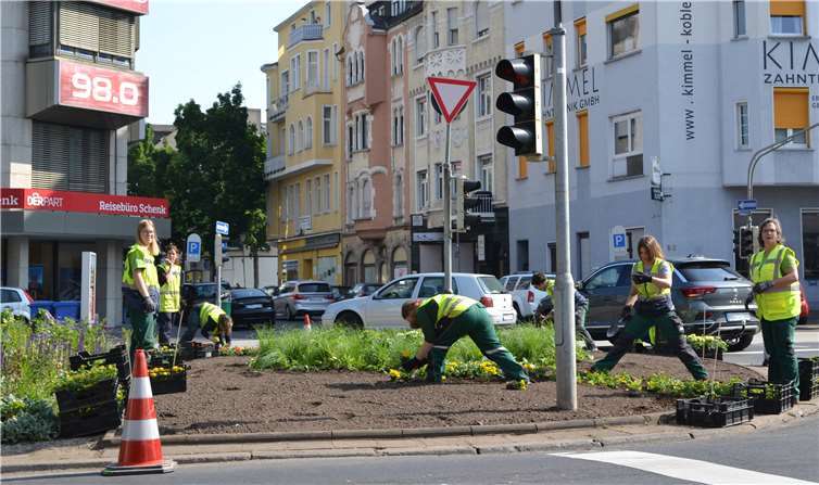 Pflanzarbeiten am Friedrich-Ebert-Ring. Quelle: Stadt Koblenz