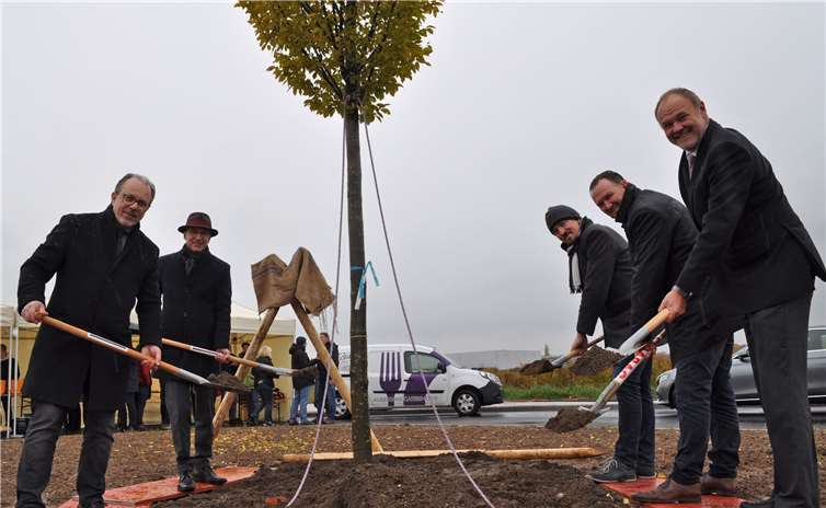 Pflanzen zur Eröffnung eine Säulenhainbuche im Unternehmerpark Kottenforst, von links: der Technische Beigeordnete Heinz-Peter Witt, Bürgermeister Bert Spilles, Sven Mevissen, Bauleiter von Kempen Krause Ingenieure Aachen, Holger Weber, Technischer Bereichsleiter der Strabag-Niederlassung Bonn, und der Vorstand des Erftverbandes Dr. Bernd Bucher. Foto: Stadt Meckenheim