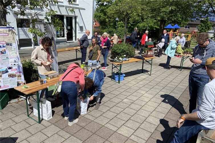 Pflanzenbörse in Oedingen
