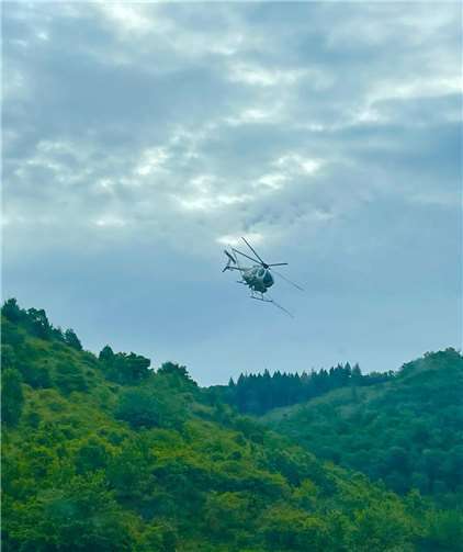 Pflanzenschutz per Hubschrauber.