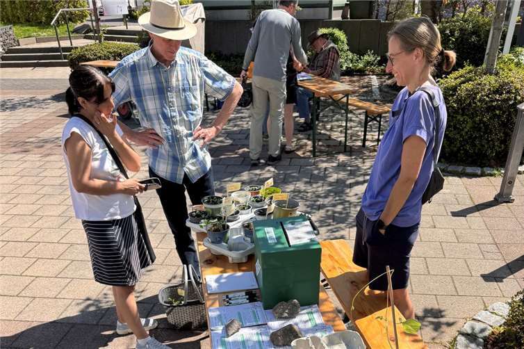 Pflanzentauschbörse in Oedingen. Foto: Katharina Hange