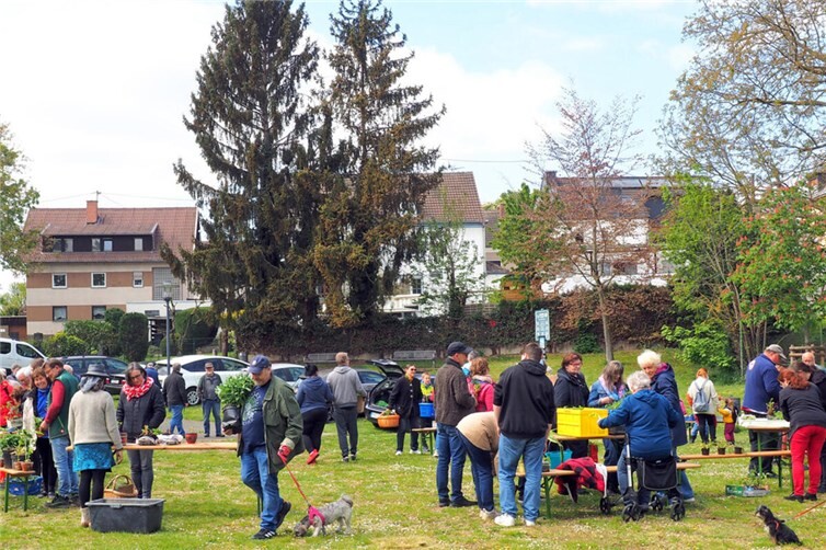 Pflanzentauschtag 