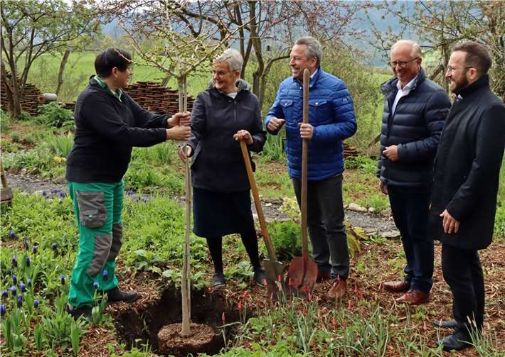 Pflanzten gemeinsam mit Kordula Honnef (links), der Gärtnerin der Klostergärten, den Ginkgo ein: Generaloberin Schwester Edith-Maria Magar, Hans-Werner Breithausen, der Bürgermeister der Verbandsgemeinde Rengsdorf-Waldbreitbach, Dr. Heinz-Jürgen Scheid, der Vorstandsvorsitzende der Marienhaus Stiftung, und Sebastian Spottke, der Vorsitzende der Geschäftsführung der Marienhaus GmbH. Foto: Marienhaus GmbH