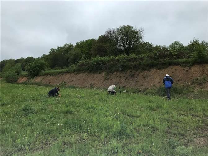 Pflanzung unterhalb der Böschung der B8.  Foto: SNU