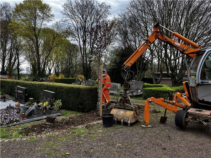 Pflanzungen von Bäumen und Sträuchern auf dem Mieler Friedhof. Quelle: Gemeinde Swisttal