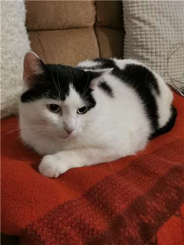 Phibie. Foto: privat