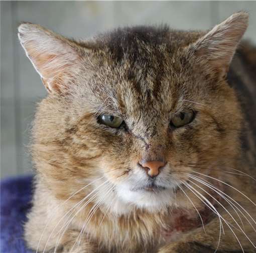 Philipp ist verschmust.privat