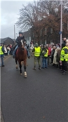 Vorschaubild Video: Silvesterritt in Mayen-Hausen 2026