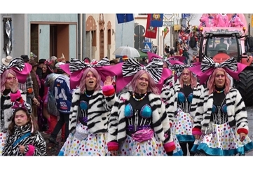 Vorschaubild Video: Veilchendienstagsumzug Heimbach 2026