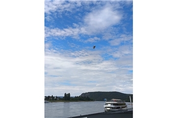 Vorschaubild Video: Zeppelin fliegt über Linz 