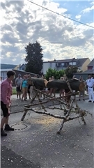 Vorschaubild Video: Sappeure beseitigen Straßensperre bei Königszug in Bad Hönningen 2026