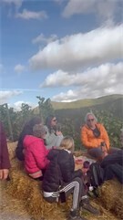 Vorschaubild Weinherbst Mittelahr