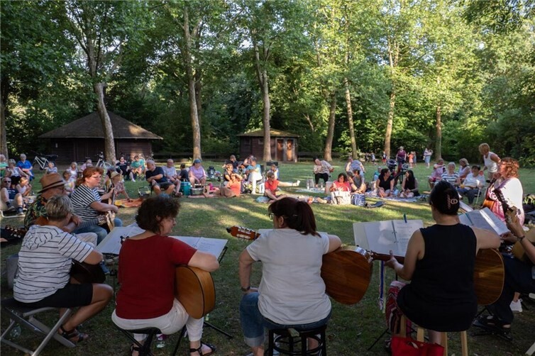 Picknick-Konzert