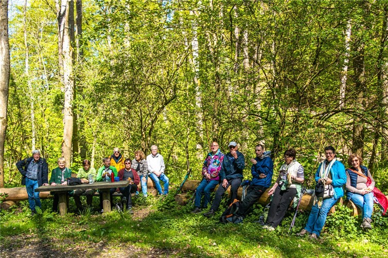 Picknick im Wald.