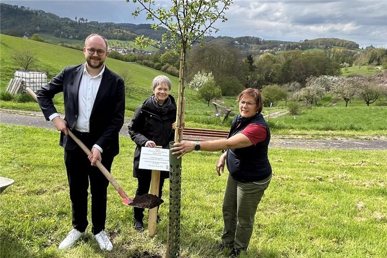 Pierre Fischer, der Bürgermeister der Verbandsgemeinde Rengsdorf-Waldbreitbach, Generaloberin Schwester M. Michaele Rohde und Kordula Honnef, Gärtnerin der Waldbreitbacher Klostergärten (von links), pflanzen eine Esskastanie und eine Mostbirne auf der Streuobstwiese des Waldbreitbacher Klosterbergs.