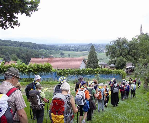 Pilgern - allein, zu zweit, in der großen Gruppe, so wie es beliebt. Und das alles macht Sinn. privat
