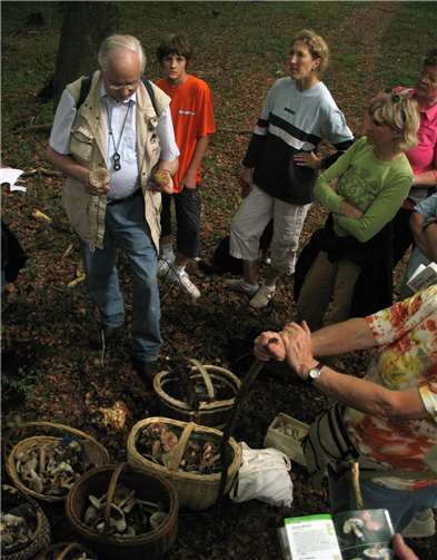 Pilzkennerführung in der VG Pellenz für Anfänger und Kenner.Quelle: TI Vulkanregion Laacher See