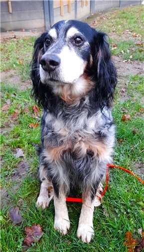 Pinky.  Foto: privat