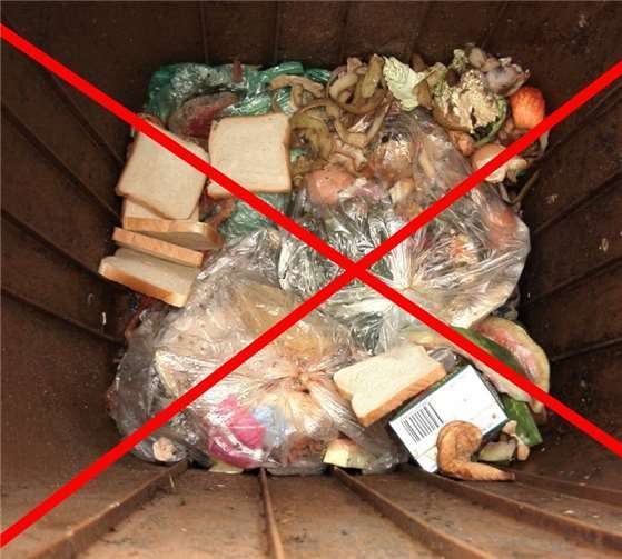 Plastiktüten und Kunststoffe haben in der Biotonne nichts verloren. Haubrich Tobias