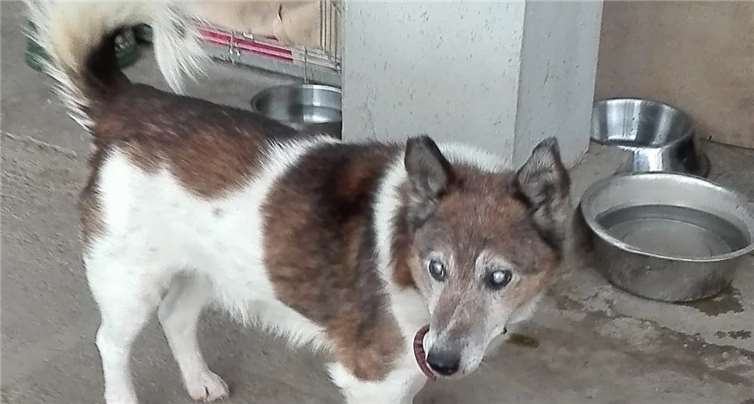 Polly kurz nach seinem Fund im Februar. Fotos: -SOT-