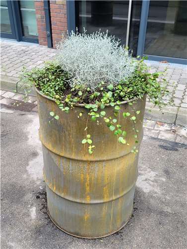 Pop-Up Stadtgestaltung in Bendorf: Pflanzgefäße im Industrie-Look zieren die Hauptstraße. Foto: Stadt Bendorf