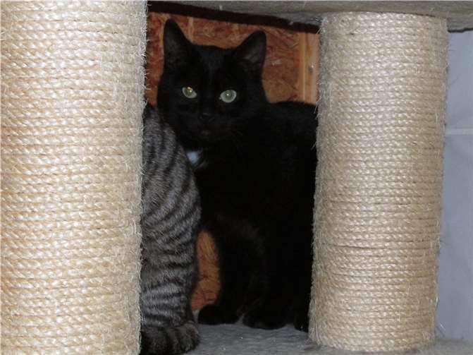 Popeye ist erst sechs Monate alt.