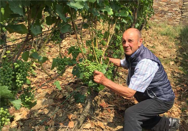 Präsident des Weinbaugebietes Ahr, Hubert Pauly. privat
